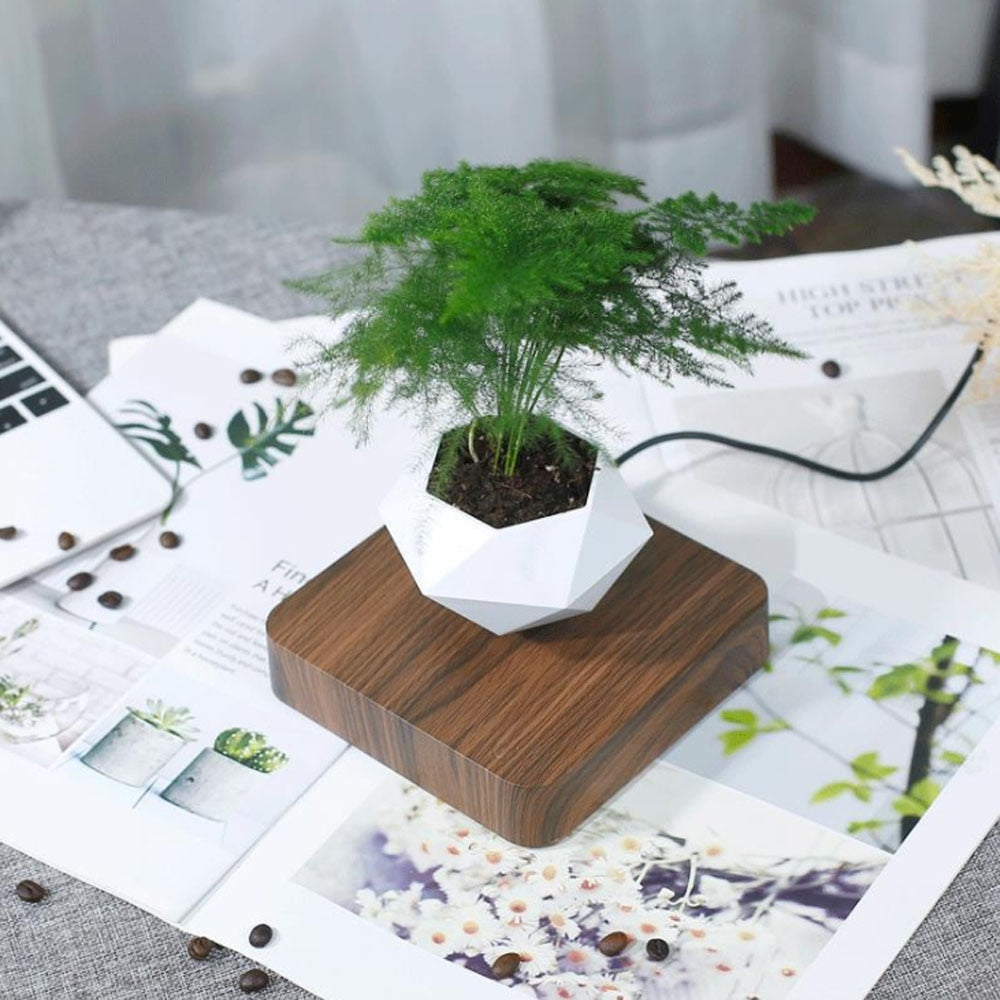 Levitating Bonsai Flower Pot | Levitating and Rotating Planter