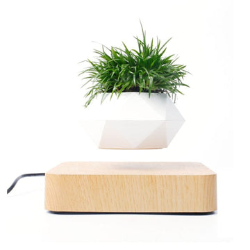 Levitating Bonsai Flower Pot | Levitating and Rotating Planter