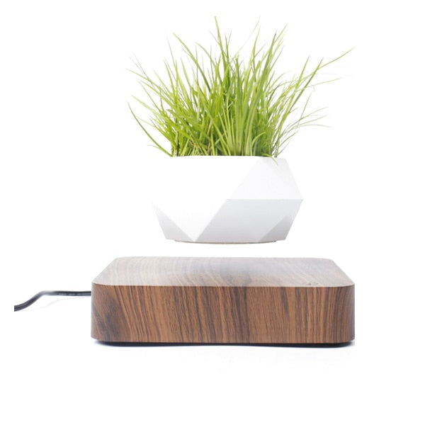 Levitating Bonsai Flower Pot | Levitating and Rotating Planter